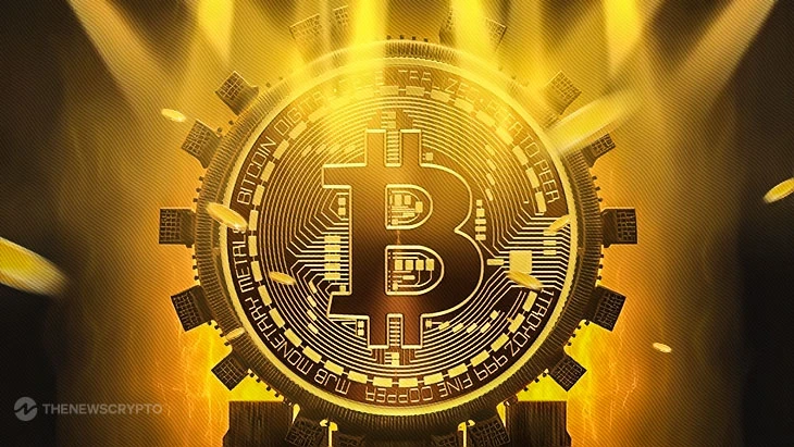 Whale Bitcoin Address Activated After 11 Years as BTC Stays Below 30K!