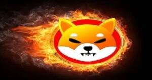 Shibburn Debunks Misconceptions On Token Burns And Shiba Inu Price Movement