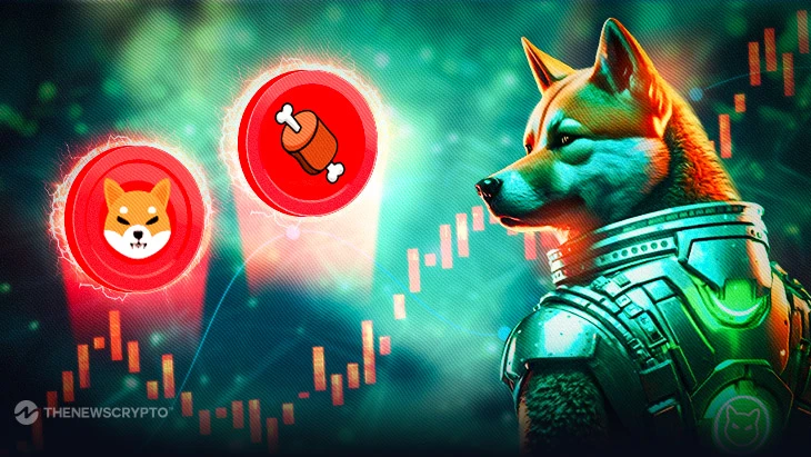 SHIB & BONE – Top Gainers as Shibarium Nears Release