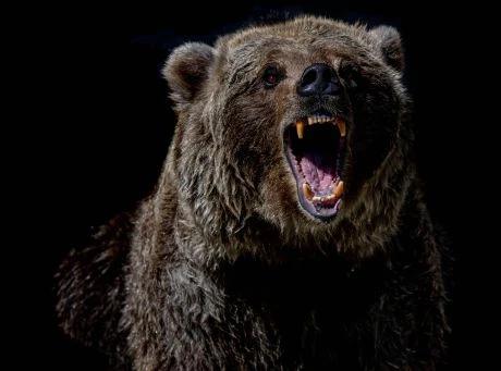 Bitcoin NVT Shows Bearish Crossover, Price Drop Incoming?