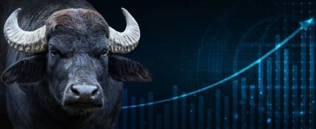 Cardano Q2 Surge: Stablecoin Soars, TVL Skyrockets, And Dapp Transactions Hit Record Highs