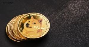 Dogecoin Foundations 2024 Vision: LibDogecoin 0.1.3 Update And Beyond