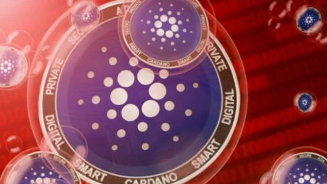 Bitcoin Millionaire Takes A Shot At Cardano For Being A Wannabe Ethereum  Details
