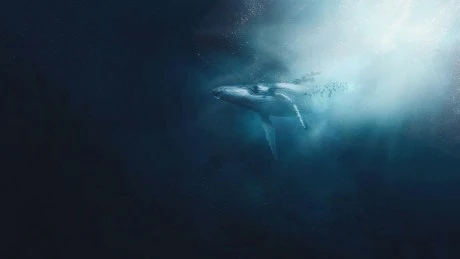 PEPE Whale Makes Big Moves With 1.97T Deposit To Exchange And SHIB Transaction
