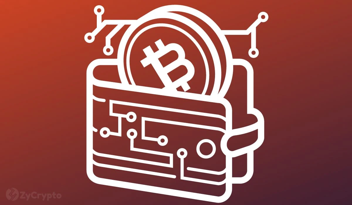 Tesla And SpaceXs Bitcoin Addresses Uncovered  Elon Musks Companies Own Whopping $1.3 Billion In BTC