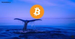 Tesla & SpaceXs $1.3 Billion Bitcoin Stash Exposed