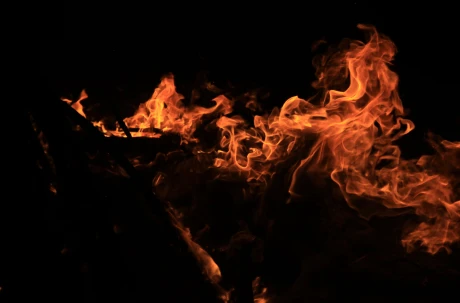 Shiba Inu Mania: Price Surges 60% As Burn Rate Heats Up Over 22,000%