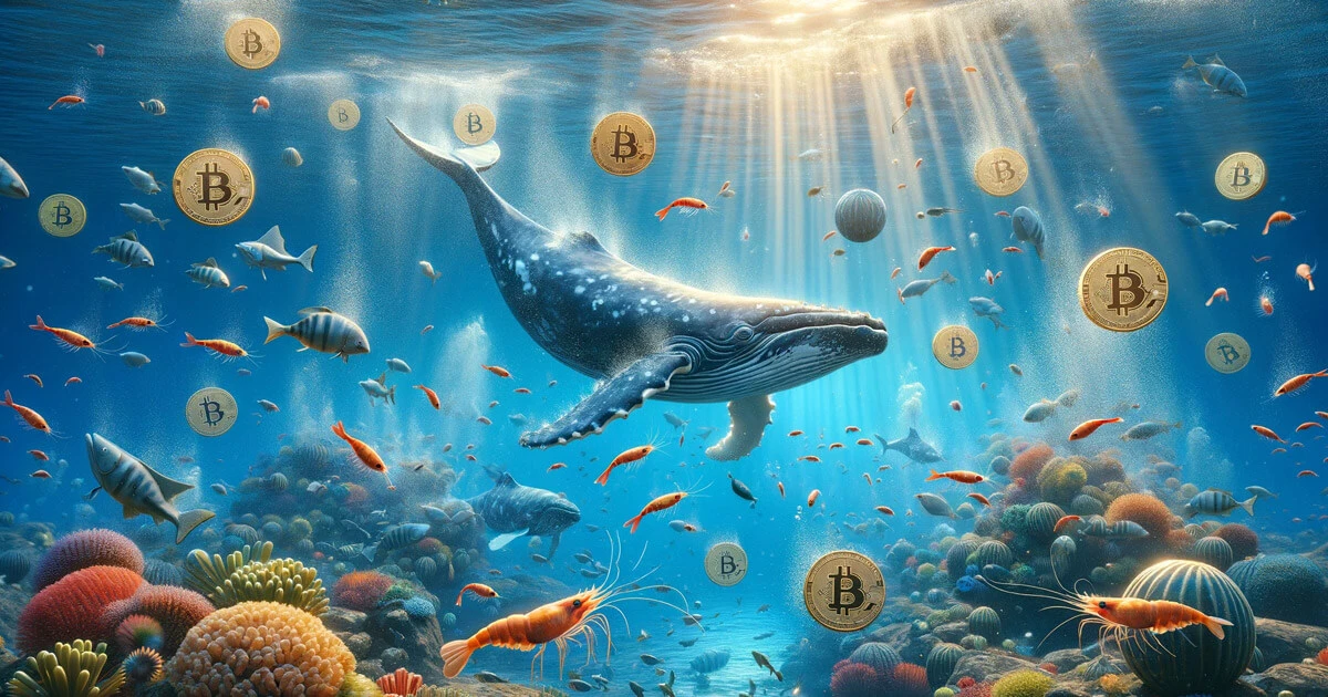 From shrimps to whales: Whos buying and selling during this rally?