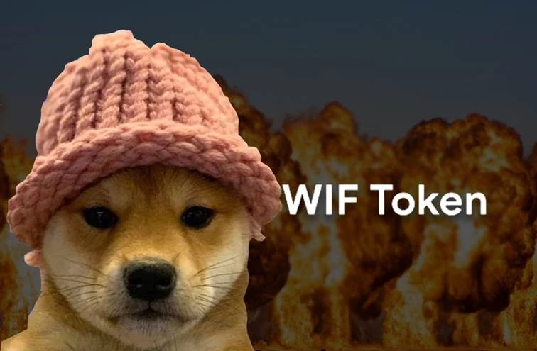Dogwifhats Future Valuation: WIF & BUDZ Predictions and Analysis for Cryptocurrency Investors
