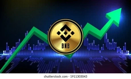 BNB Resilience: Holding Firm At $560  Whats Next?
