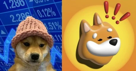 Solana Memecoins WIF And BONK Explode By Double Digits: Key Reasons
