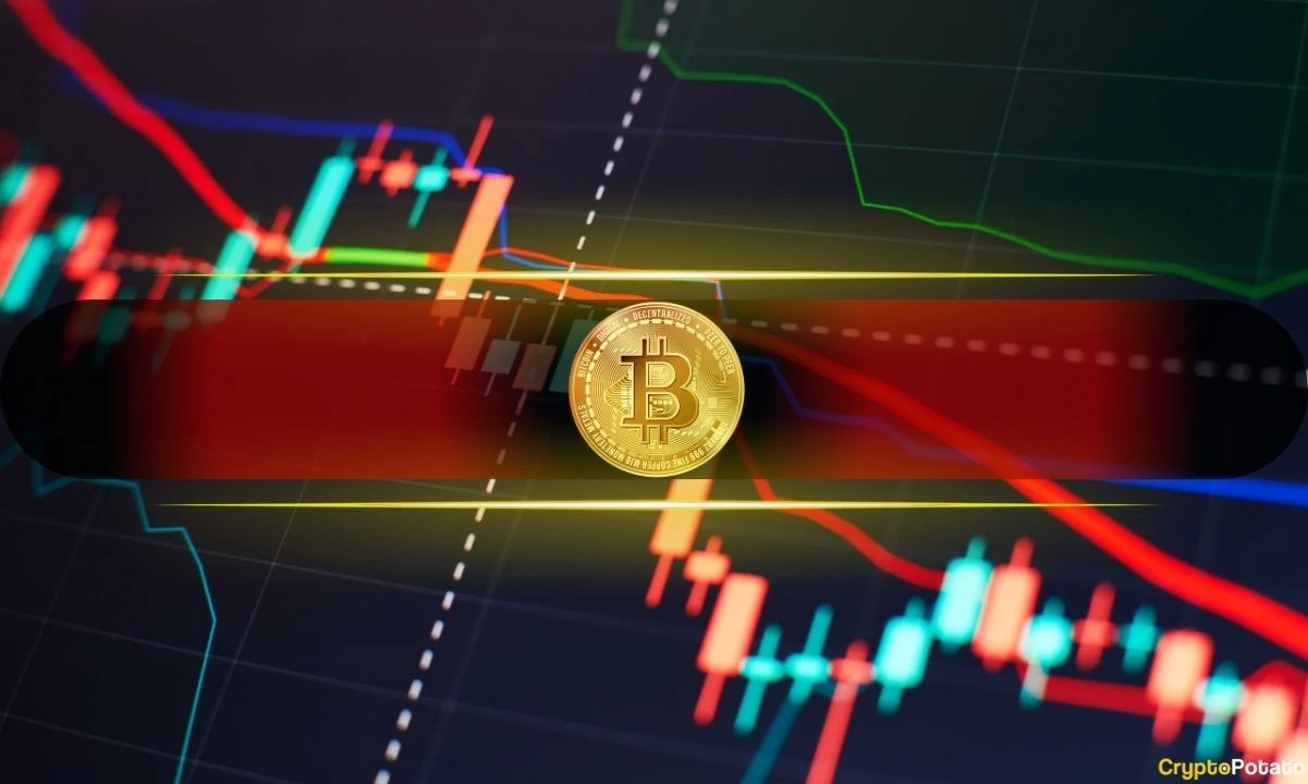 Heres a List of Bitcoin (BTC) Price Pullbacks Since the Bear Market Bottom