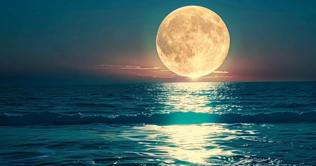 Moralis adds support for Moonbeam Network to boost Polkadot development tools