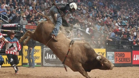 Crypto Alert: VeChain Bull Run Imminent, Expert Predicts 500% Rally