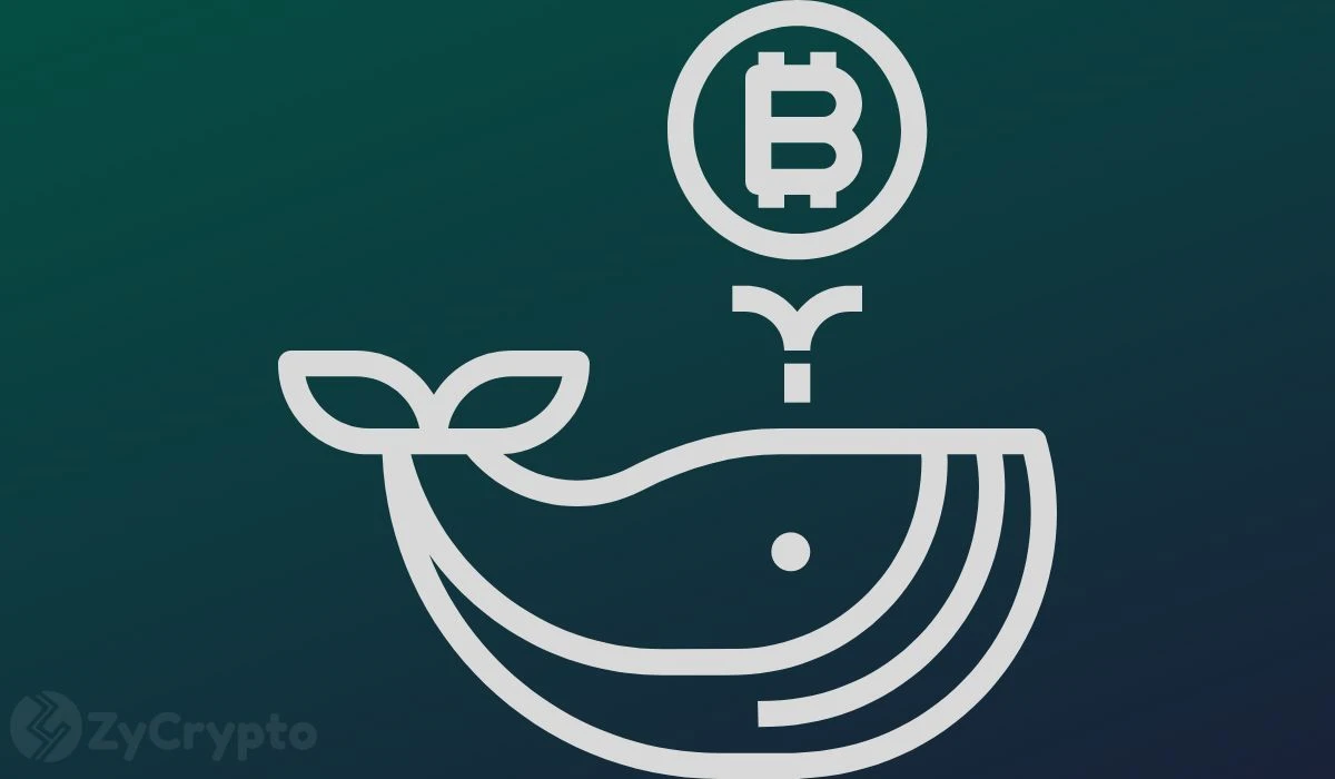 Dormant Bitcoin Awakens: Someone Just Transferred $537 Million Worth Of BTC To Binance After 6-Year Slumber