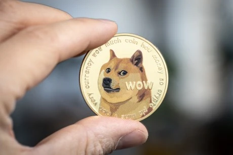 Dogecoin Plunges 11%, But This On-Chain Cushion Could End Decline