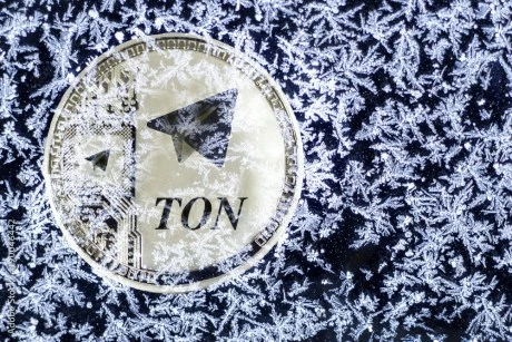 Potential Downtrend In Play? TON Struggles As Price Falls Below $7.7