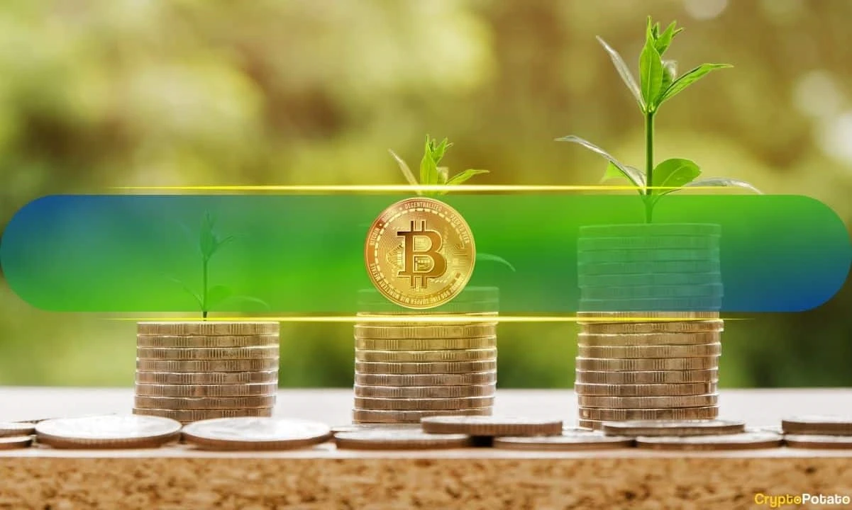 Bitcoin, Ethereum, Meme Coins Shine With Higher Percentage of Profitable Holders