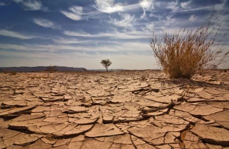 Double-Whammy For Ethereum: Price Collapses, Exchange Supply Dries Up