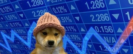 WIF Plunges 11% As Whale Deposits Millions To Binance, Whos Behind It?