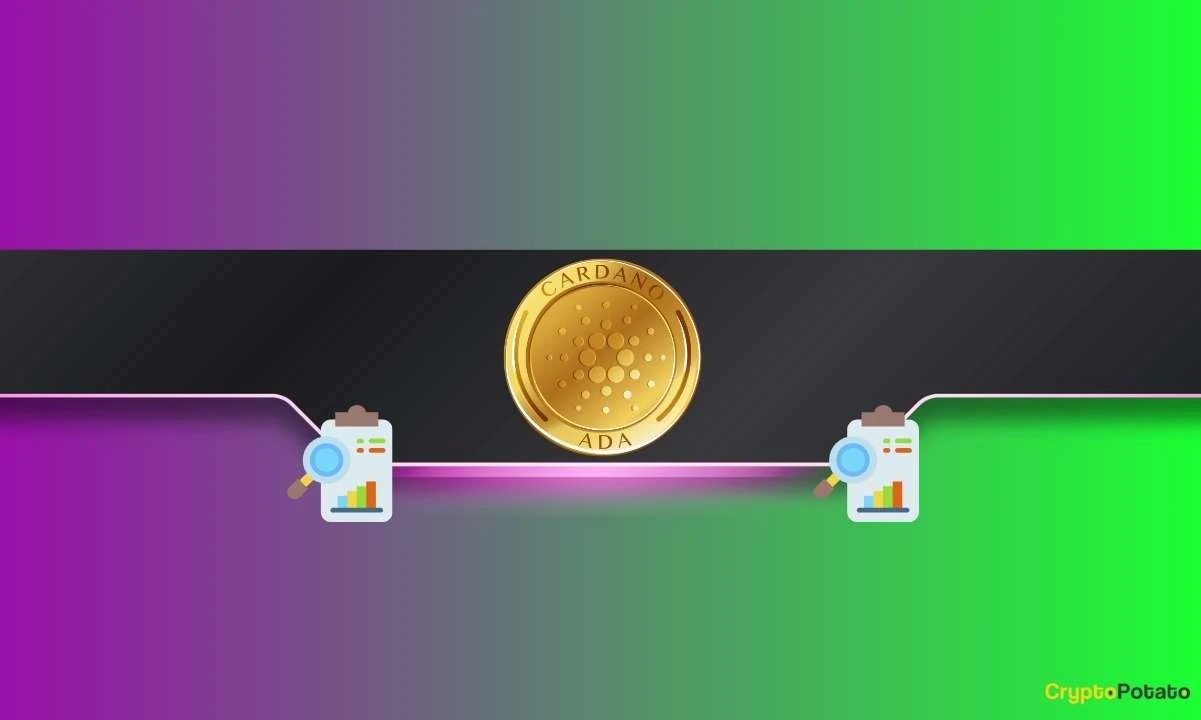 The Opportunity Cost of Holding Cardano Instead of BTC: How Much Are ADA Holders Behind?
