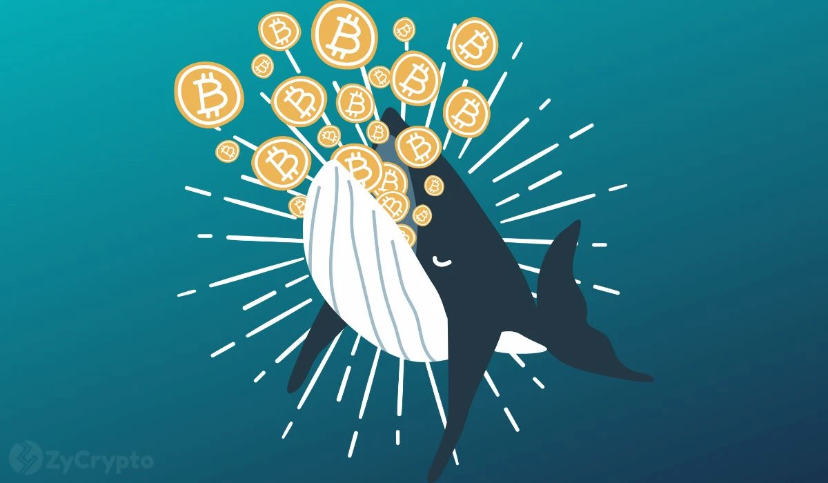 Satoshi, Is That You? 14-Year-Old Dormant Bitcoin Wallet Cashes Out Big
