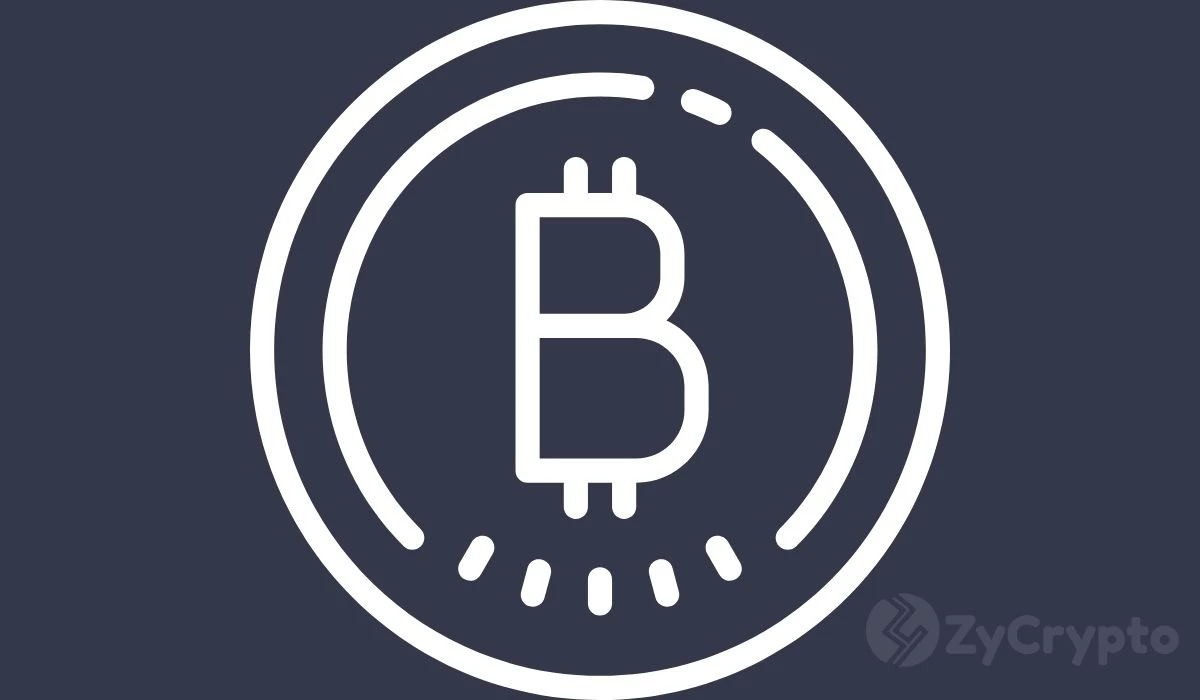 German MP Criticizes The Governments Hasty Bitcoin Sell-Offs, Urges HODLing BTC As A Strategic Reserve
