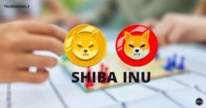 Binance Coin (BNB) On the Recovery: Analyst Eyes $650 to $850 Range