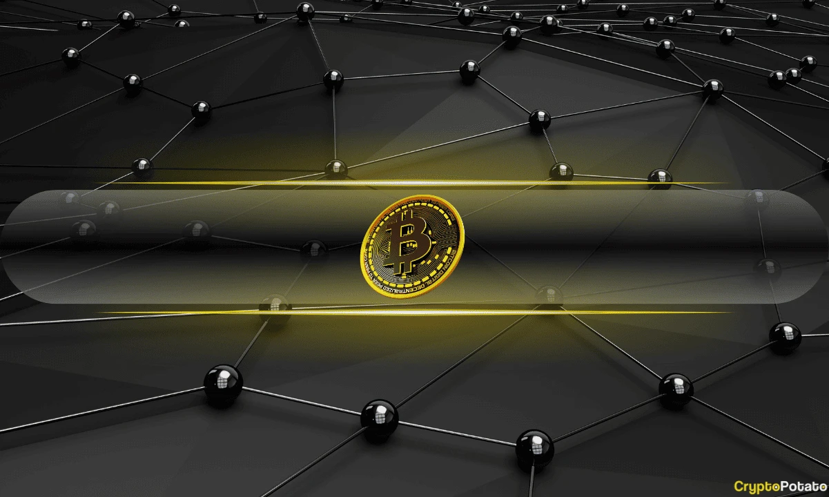 Back on Track: Spot Bitcoin ETFs Draw $295M on July 8th, Matching Junes High Inflows