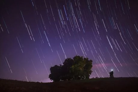 Filecoin Boom Incoming? Market Optimism Fuels Cryptos Next Breakout Star
