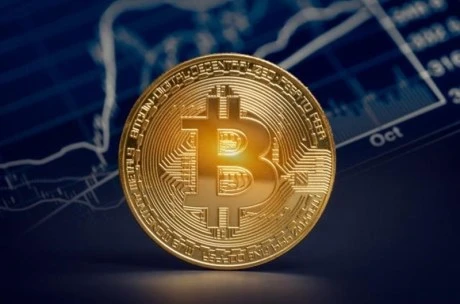 Bitcoin Whales Accumulate 71,000 BTC Amidst Price Dip  Details
