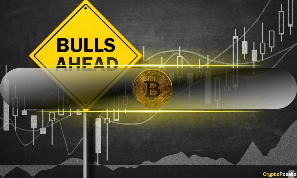 Nansen Says Bitcoin Investors Should Become Risk-On, Heres Why