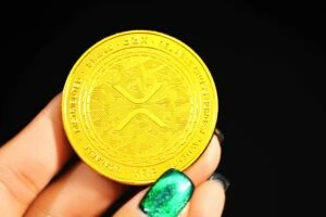 XRP Investors Alerted: 2 Massive False Reports on India-UAE Trade