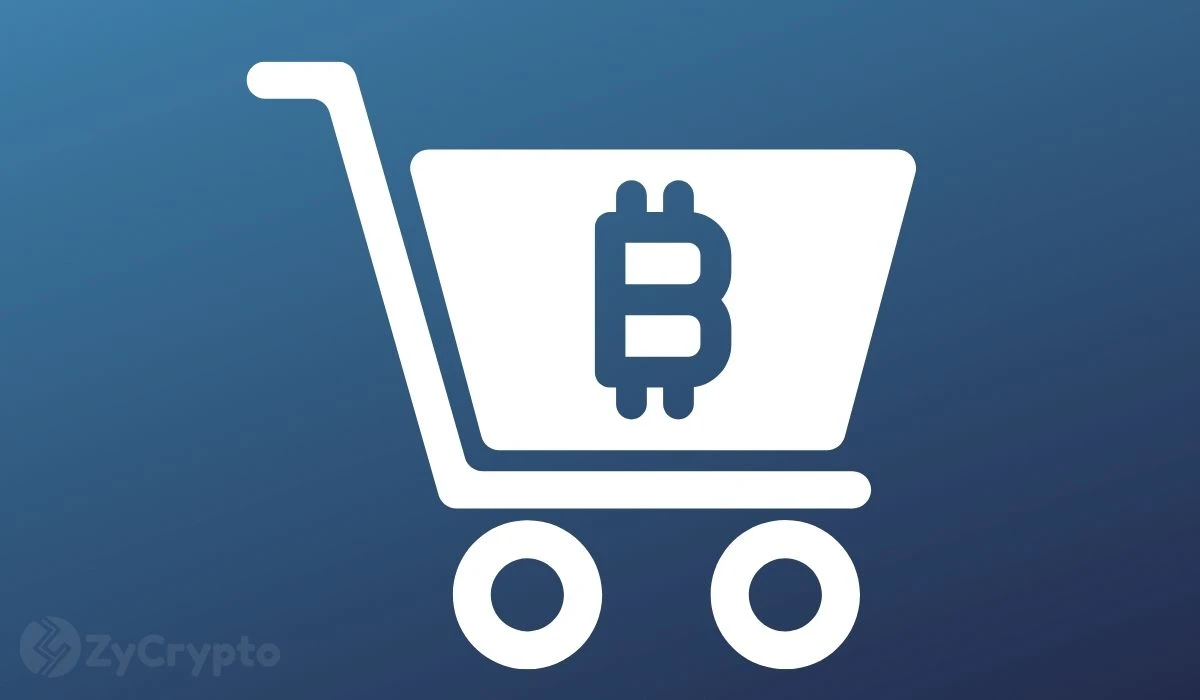 El Salvadors Bitcoin Stockpile Now Worth $377 Million As Nation Continues Daily BTC Acquisition Strategy