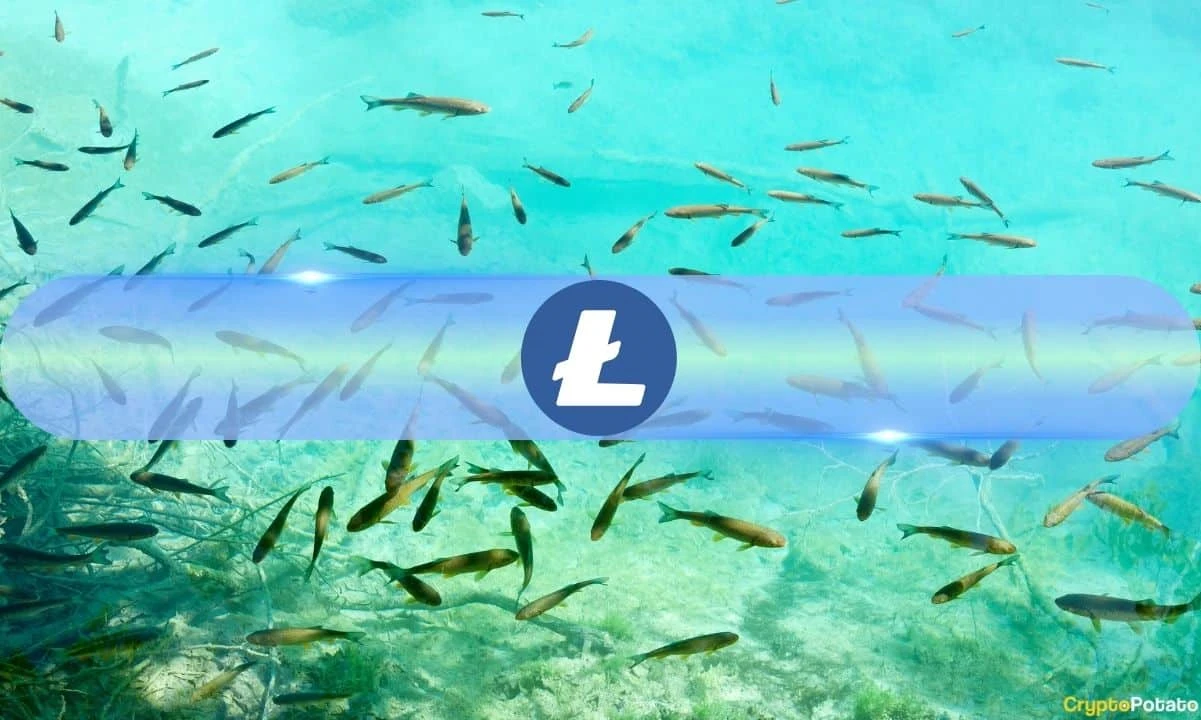 Small Litecoin (LTC) Fishes Are Jumping Ship, Heres What it Means