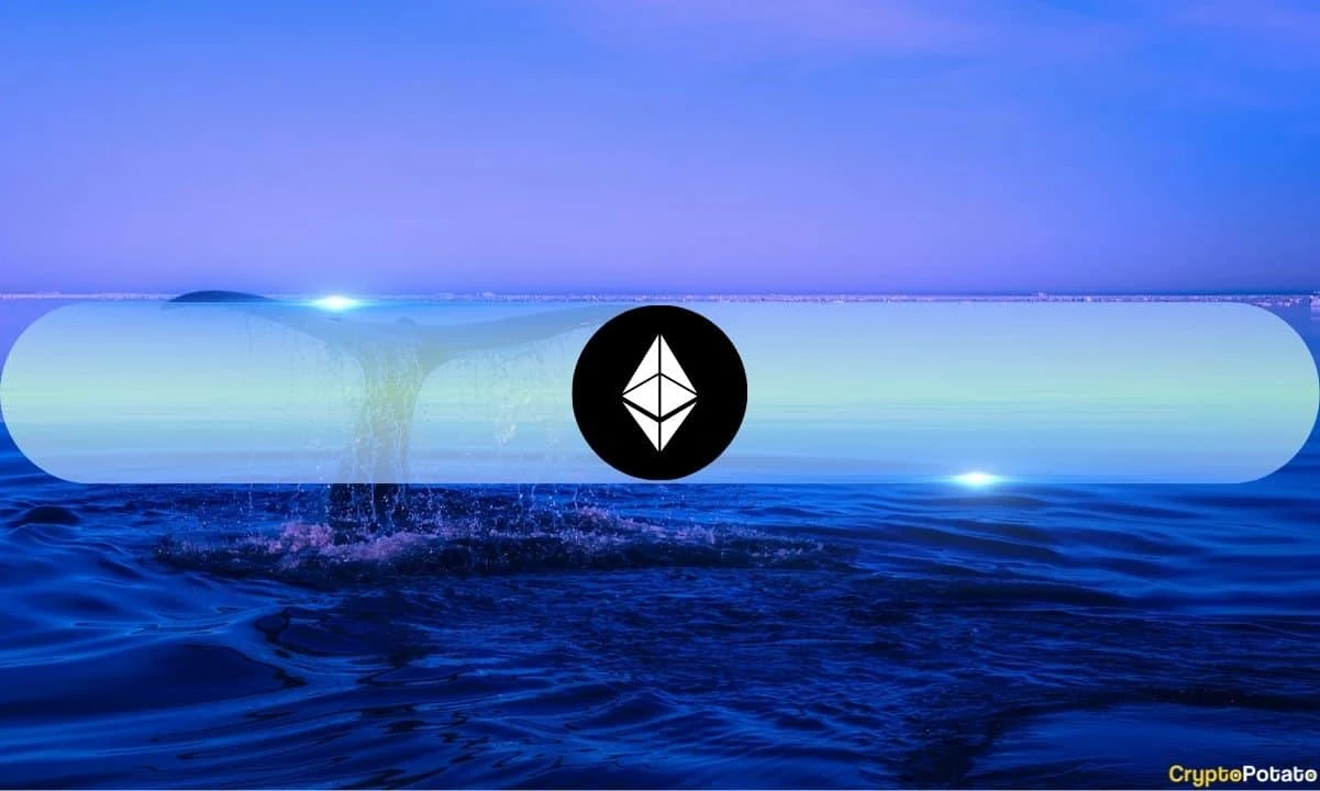 Bitcoin, Ethereum, Ripple Whales Retreat: Heres What it Means