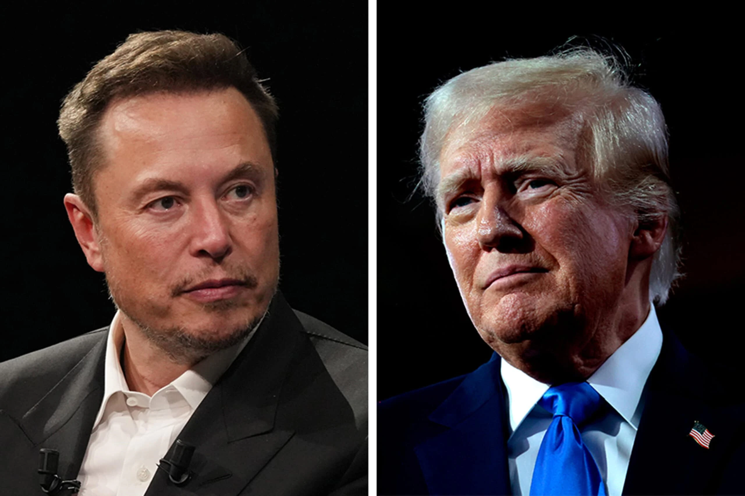 Donald Trump Wants to Make Elon Musk Head of Government Efficiency Commission