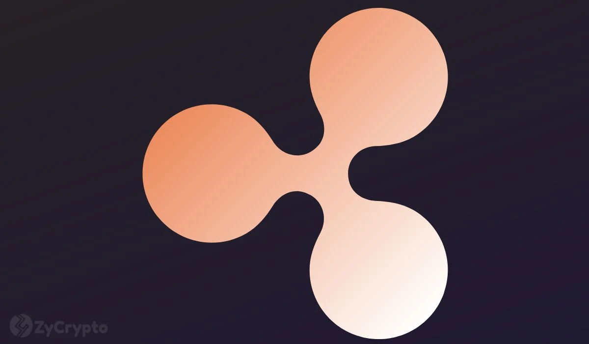 Shocker! Ripple Co-Founder Chris Larsen Endorses Kamala Harris For President