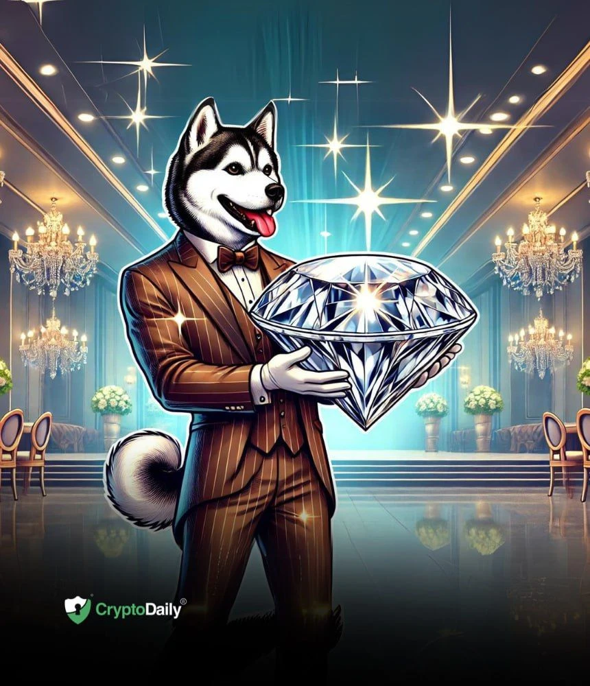 Husky Inu ($HINU): The Memecoin Gem Youve Been Waiting For