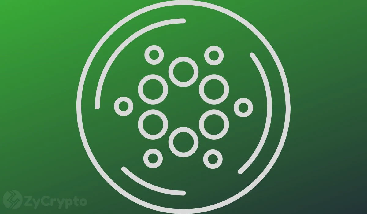 Cardanos Chang Update Spurs Surge In Active Users And Trading Volume