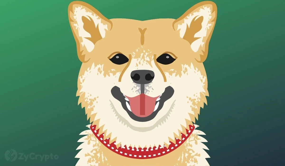 Elon Musk Fuels Dogecoin Hype Once Again  Will This Push DOGE To $1 Anytime Soon?
