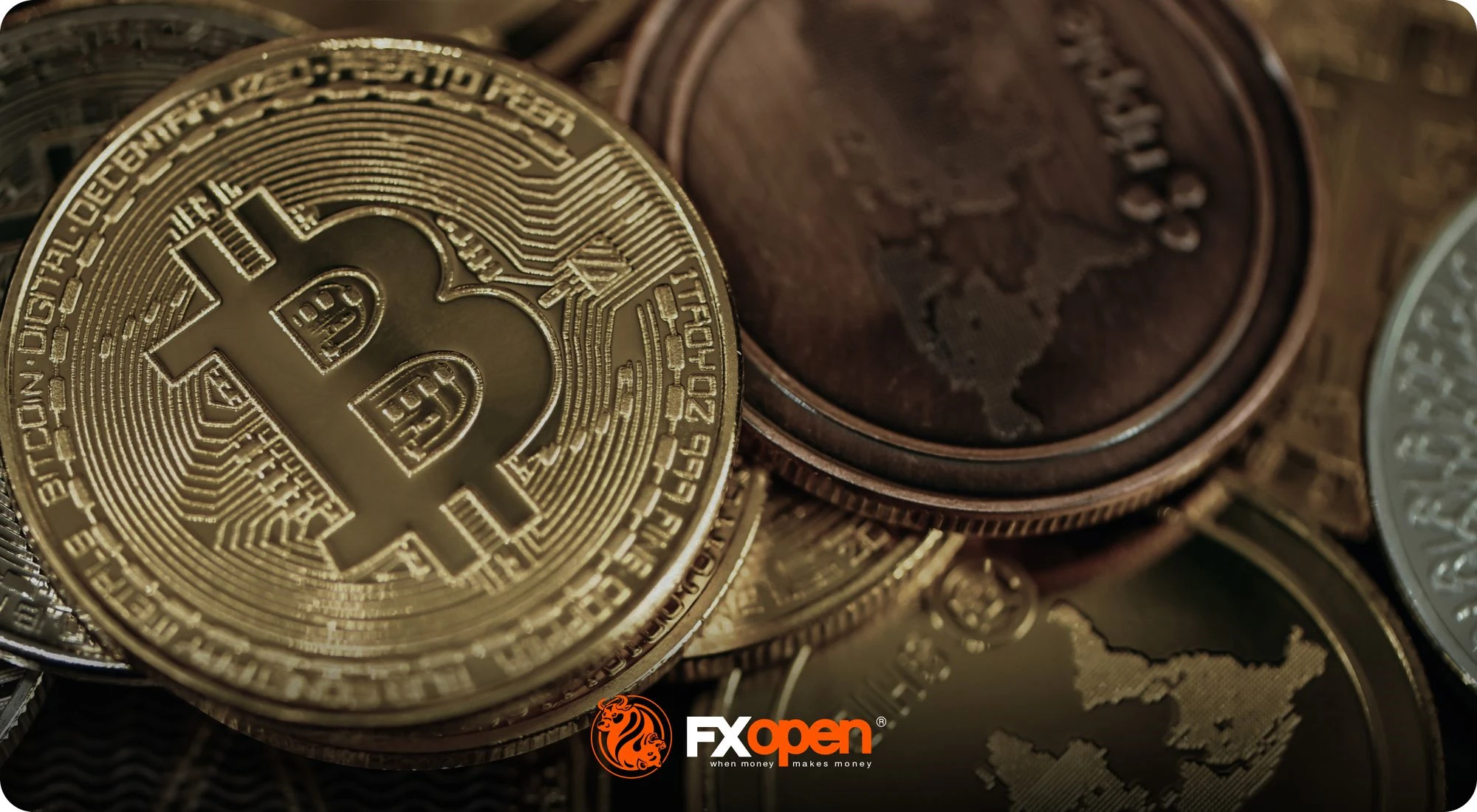 What Is a Crypto Bull Run?