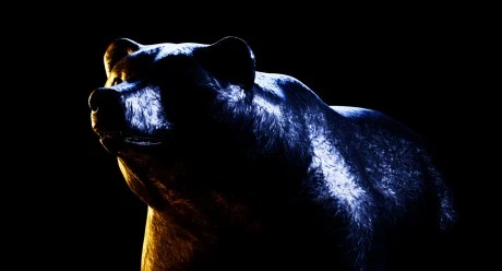 Is DogWifHat (WIF) The Most Bearish Of All Major Meme Coins?