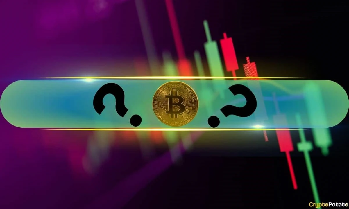 These Are This Weeks Top Performers as Bitcoin (BTC) Calms at $63K (Market Watch)