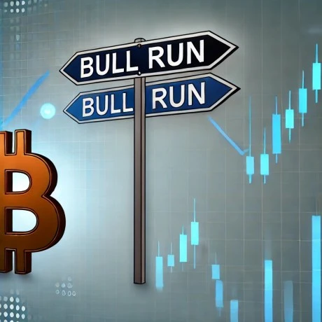 Here Is Why The Bitcoin Bull Run Hasnt Started, According To Analyst