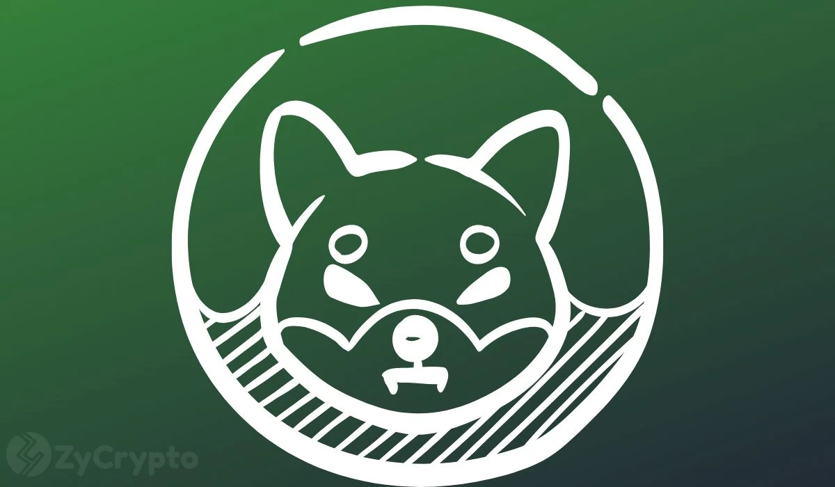 Analysts Say SHIB Is on Fire; Liken Potential 1,000% Shiba Inu Rally Just Like 2021