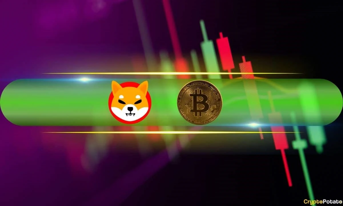 Shiba Inus (SHIB) Price Shot Up to 3-Month High, Bitcoin (BTC) Touched $66.5K (Weekend Watch)