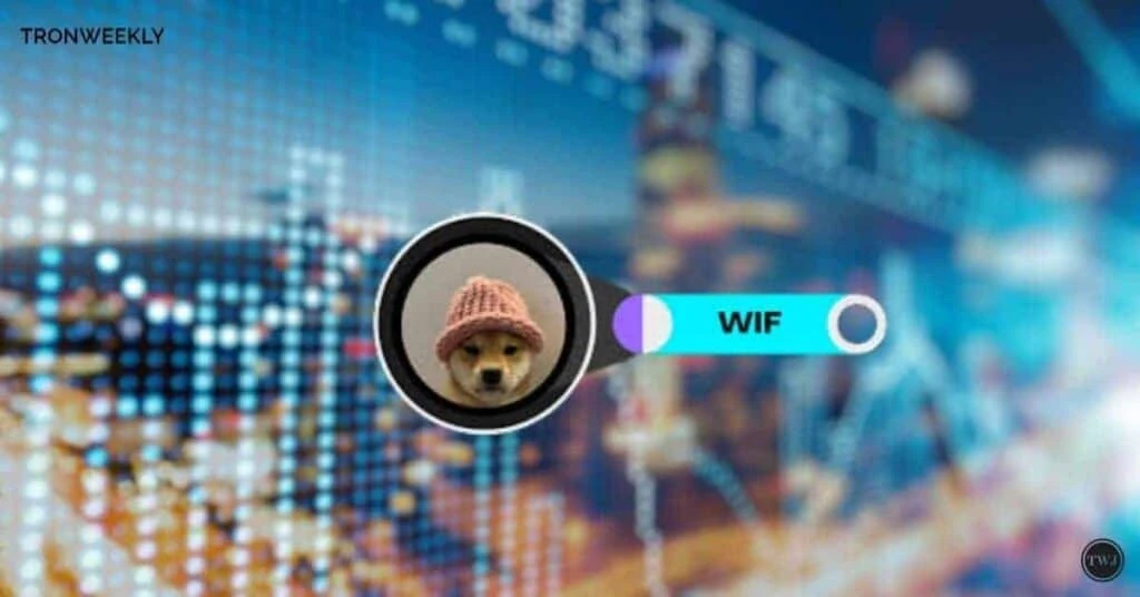 WIF Set for Major Downtrend After Recent Correction: Bearish Trend Ahead?