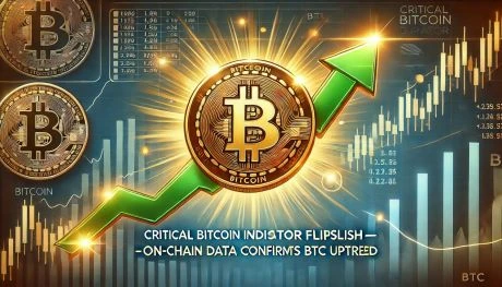 Bitcoin Bullish Outlook Confirmed By Critical Data  STH Overheating?