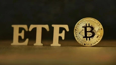 Spot ETFs Fail To Ignite Bitcoin Growth  Analyst